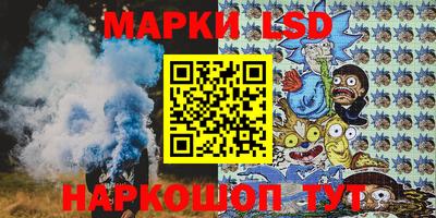 шишки Будённовск
