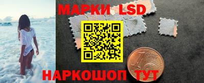 шишки Будённовск