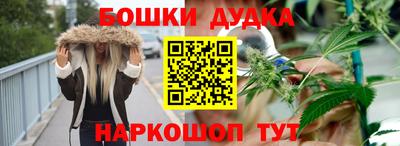 шишки Будённовск