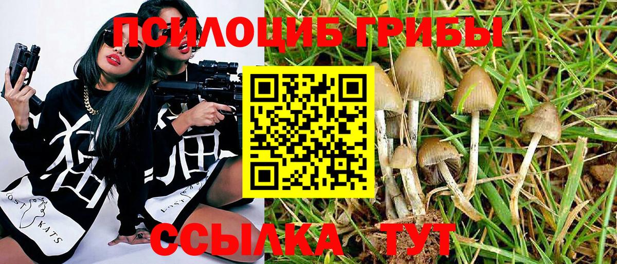 Крымск  Псилоцибиновые грибы GOLDEN TEACHER  Галлюциногенные грибы GOLDEN TEACHER  Вход с VPN 